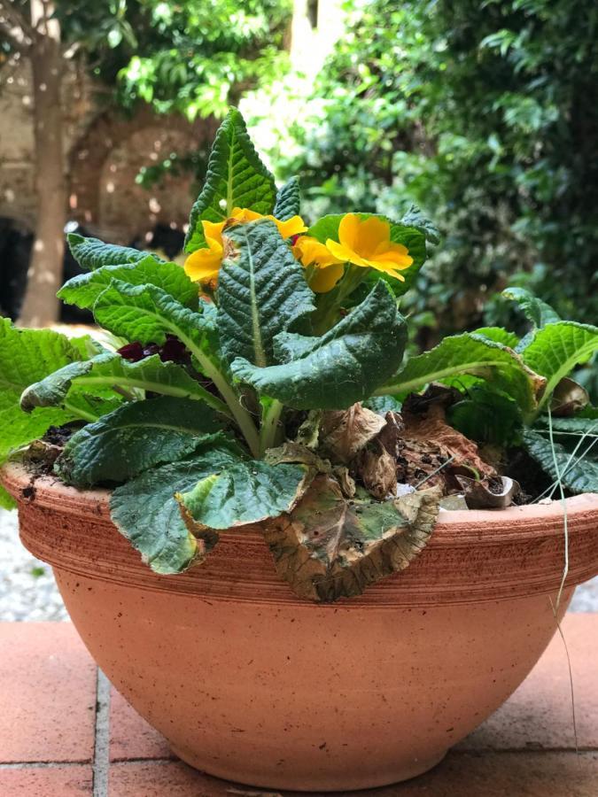 Hostly - Garden House Near The Tower - Historical House With Private Garden Apartment Пиза Екстериор снимка